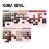 IGORA ROYAL 7-24 Krem koloryzujący do włosów Schwarzkopf 60 ml